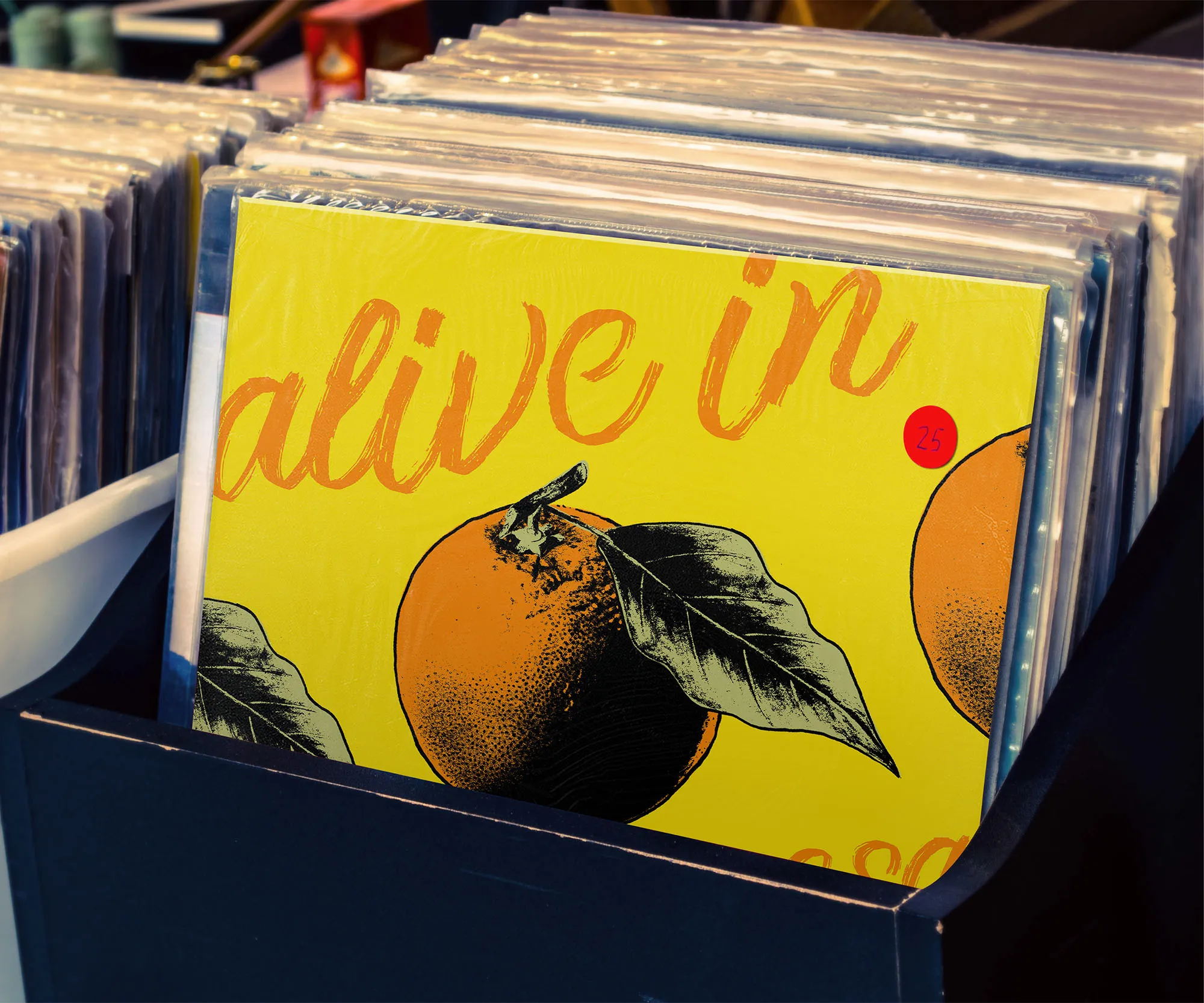 "Alive in Costa Mesa" record in a record-store bin.
